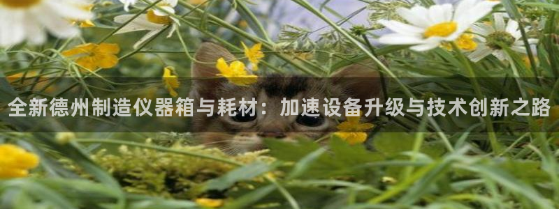 恒行2尤74OOO5