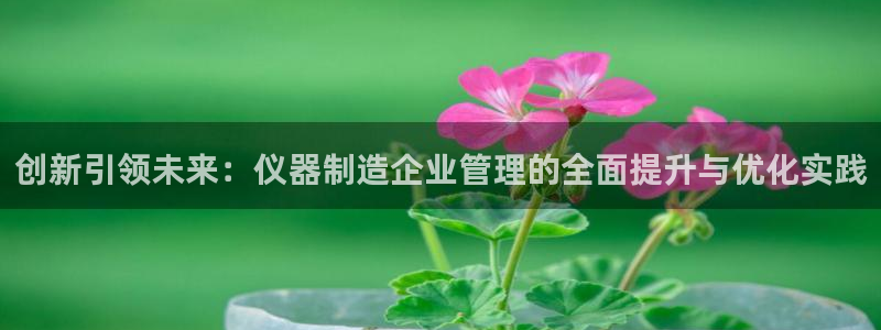 恒行娱乐周74OOO5：创新引领未来：仪器制造企业管理的全面