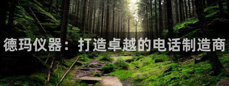 恒行主管总代6ll5l周至：德玛仪器：打造卓越的电话制造商