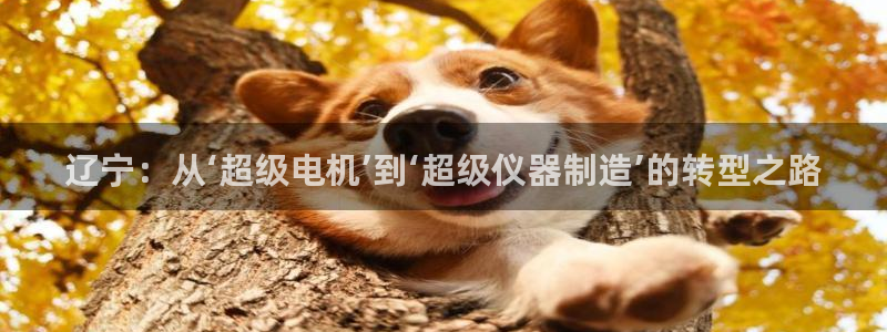 恒行娱乐陈74OOO5：辽宁：从‘超级电机’到‘超级仪器制造