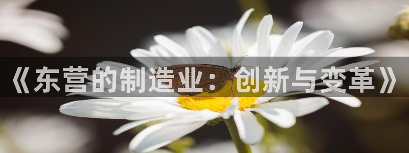 恒行彩票亏5千：《东营的制造业：创新与变革》