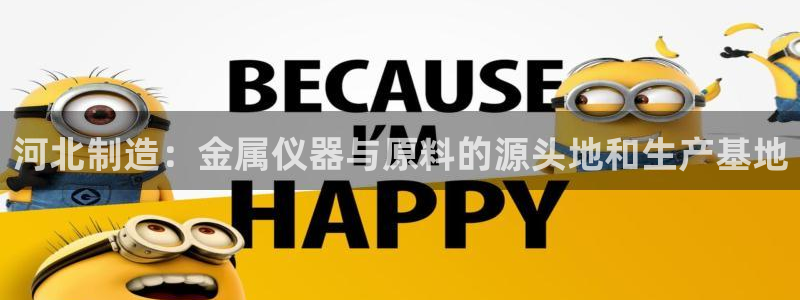 恒行2下74OO5：河北制造：金属仪器与原料的源头地和生产基