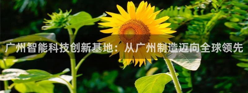 恒行主管总代6ll5l周至：广州智能科技创新基地：从广州制造