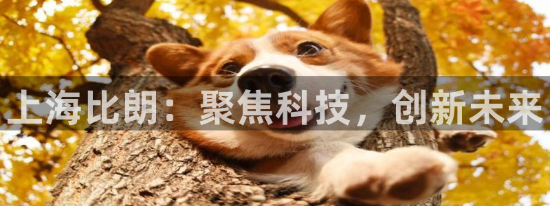 恒行2陈74OOO5：上海比朗：聚焦科技，创新未来