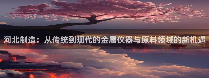 恒行登录老大6ll5l典型：河北制造：从传统到现代的金属仪器