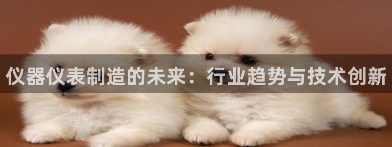 恒行娱乐掏沂74ooo5弛：仪器仪表制造的未来：行业趋势与技
