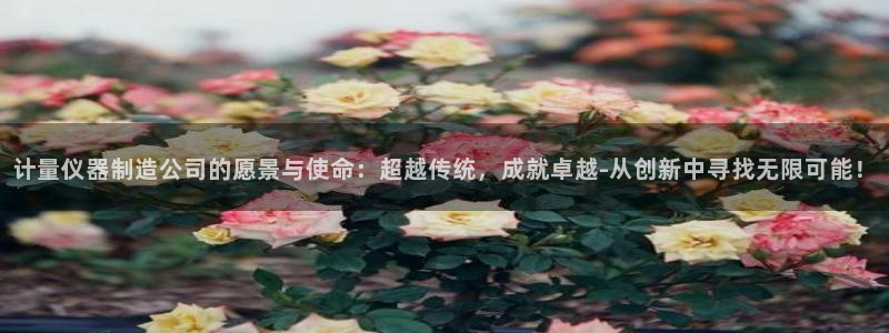 恒行3乃5O6917：计量仪器制造公司的愿景与使命：超越传统