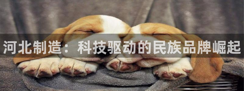 恒行2沈74OOO5：河北制造：科技驱动的民族品牌崛起