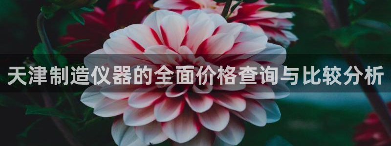 恒行开户娱乐赞议6ll5l：天津制造仪器的全面价格查询与比较