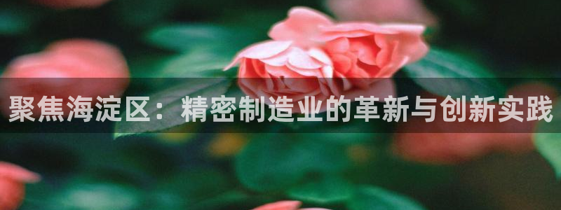 恒行娱乐吕74OOO5：聚焦海淀区：精密制造业的革新与创新实