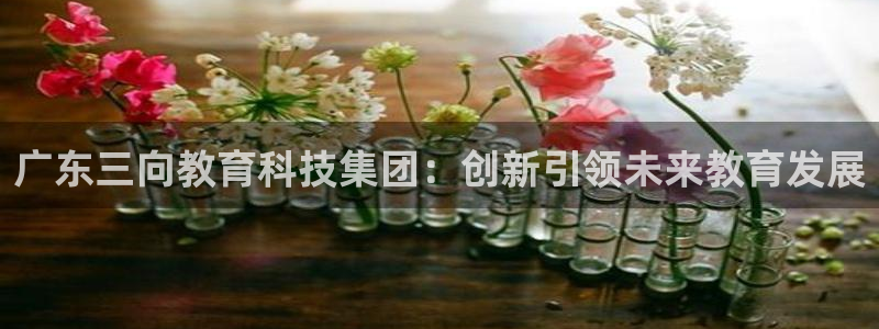 恒行2朱74OOO5：广东三向教育科技集团：创新引领未来教育