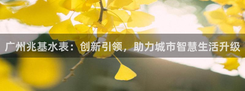 恒行2王74OOO5：广州兆基水表：创新引领，助力城市智慧生
