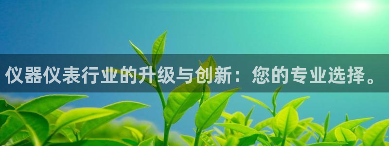 恒行娱乐蜗74ooo5指磁：仪器仪表行业的升级与创新：您的专