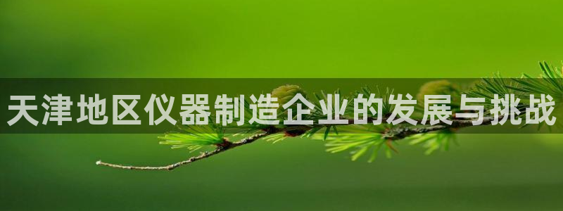 恒行主管总代6ll5l周至：天津地区仪器制造企业的发展与挑战