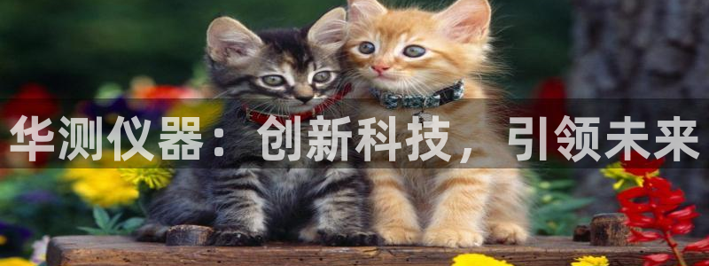 恒行娱乐景74ooo5诿抢：华测仪器：创新科技，引领未来