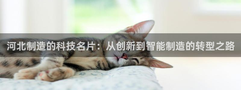恒行娱乐吕74OOO5：河北制造的科技名片：从创新到智能制造