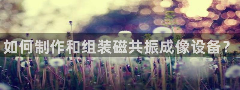 恒指5行情 如来再我心：如何制作和组装磁共振成像设备？