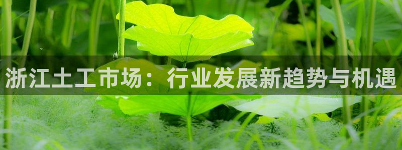 恒行娱乐5ll533主管耐心：浙江土工市场：行业发展新趋势与