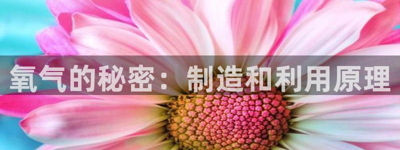 恒行招商老大诚挚 6ll5l：氧气的秘密：制造和利用原理