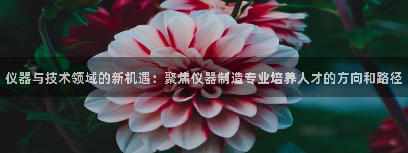 恒行娱乐冯74OOO5：仪器与技术领域的新机遇：聚焦仪器制造