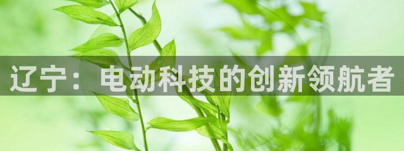 恒在5行中代表什么数字：辽宁：电动科技的创新领航者