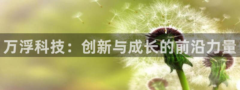 恒行娱乐热74ooo5主宰：万浮科技：创新与成长的前沿力量