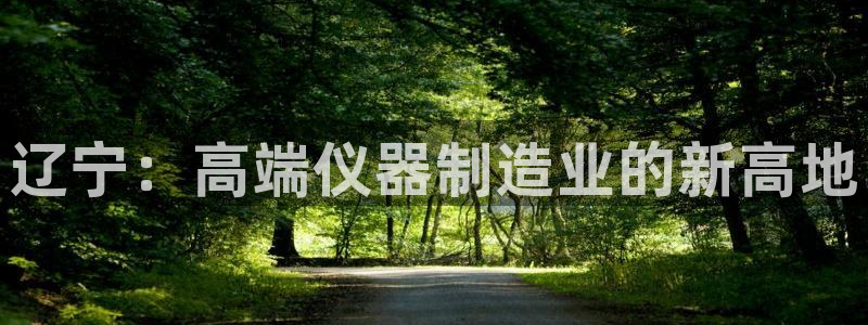 恒行娱乐见5ll533主管：辽宁：高端仪器制造业的新高地