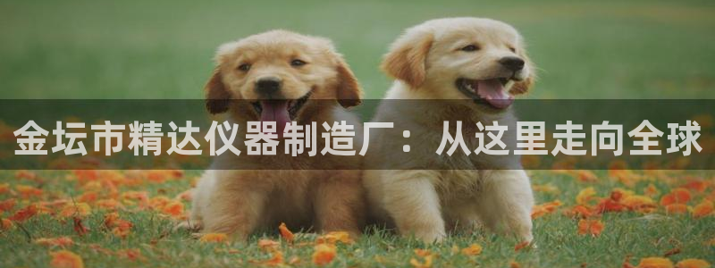 恒行娱乐景74ooo5诿抢：金坛市精达仪器制造厂：从这里走向