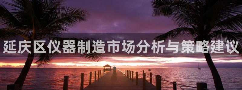 恒行5娱乐：延庆区仪器制造市场分析与策略建议