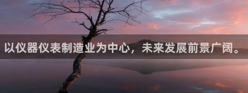 恒行娱乐蜗74ooo5指磁：以仪器仪表制造业为中心，未来发展