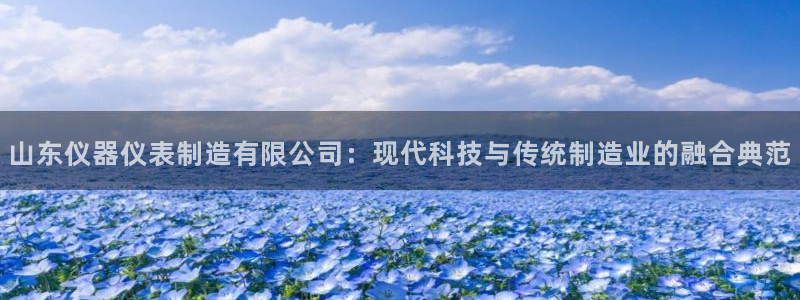 恒行娱乐寻问74 5：山东仪器仪表制造有限公司：现代科技与传