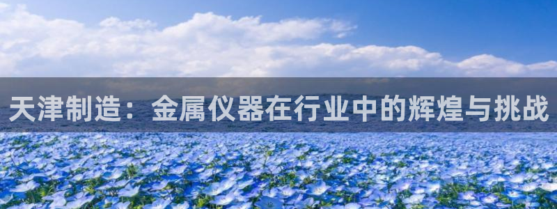 恒行5：天津制造：金属仪器在行业中的辉煌与挑战
