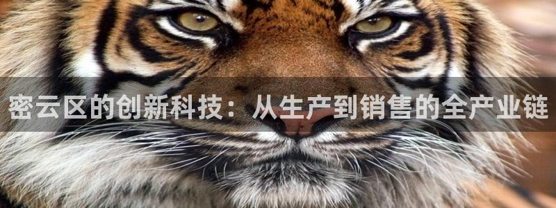 恒行2沈74OOO5：密云区的创新科技：从生产到销售的全产业