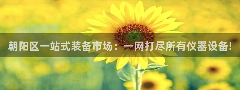 恒行2下74OO5：朝阳区一站式装备市场：一网打尽所有仪器设