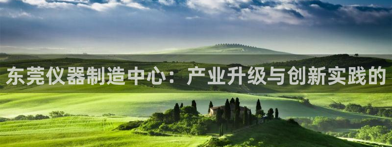 恒行娱乐5ll533主管正直：东莞仪器制造中心：产业升级与创