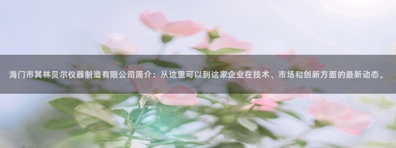恒行2杨74OOO5：海门市其林贝尔仪器制造有限公司简介：从