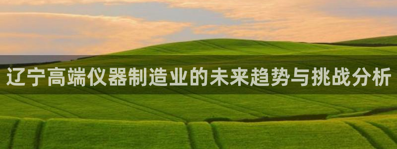 恒行2陈74OOO5：辽宁高端仪器制造业的未来趋势与挑战分析