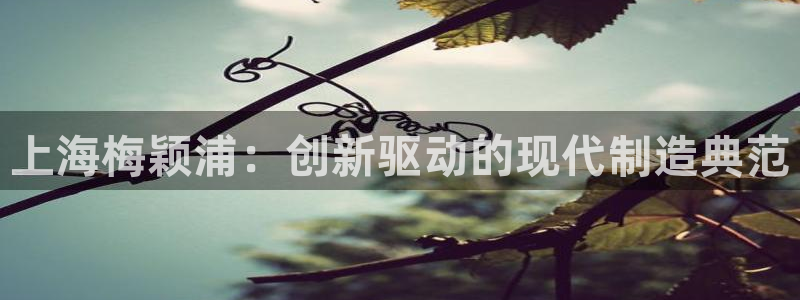 恒行娱乐吕74OOO5：上海梅颖浦：创新驱动的现代制造典范