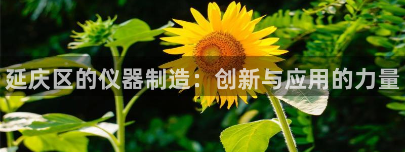 恒指5行情 如来再我心：延庆区的仪器制造：创新与应用的力量