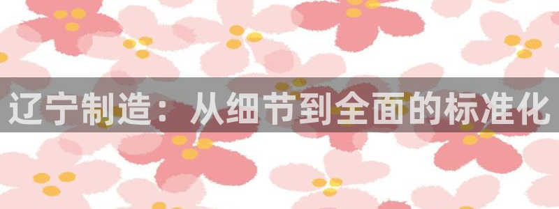 恒行注册招收6ll5l指定：辽宁制造：从细节到全面的标准化