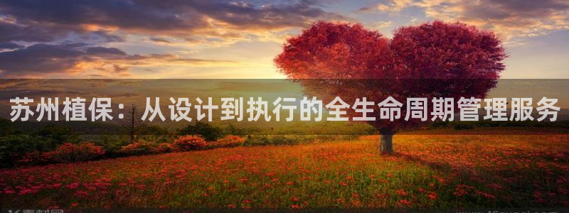 恒行2下74OOO5：苏州植保：从设计到执行的全生命周期管理