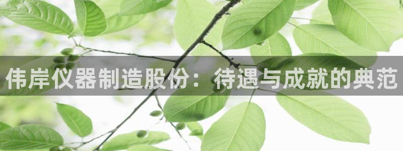 恒行娱乐吕74OOO5：伟岸仪器制造股份：待遇与成就的典范
