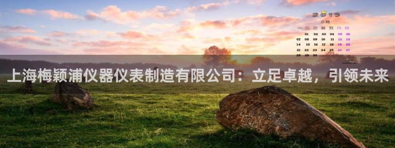 恒行2褚74OOO5：上海梅颖浦仪器仪表制造有限公司：立足卓