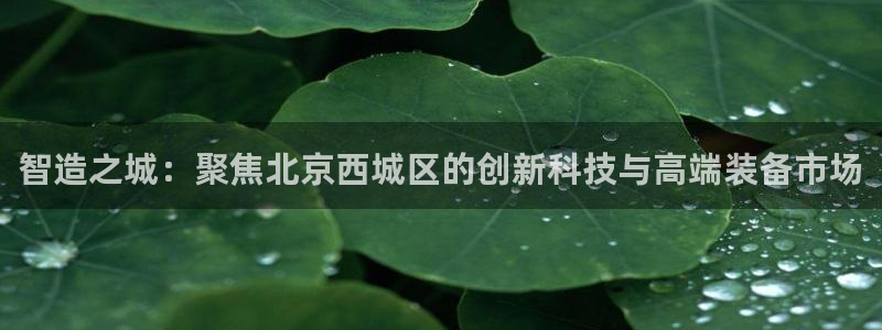 恒行娱乐鸟74ooo5判官：智造之城：聚焦北京西城区的创新科