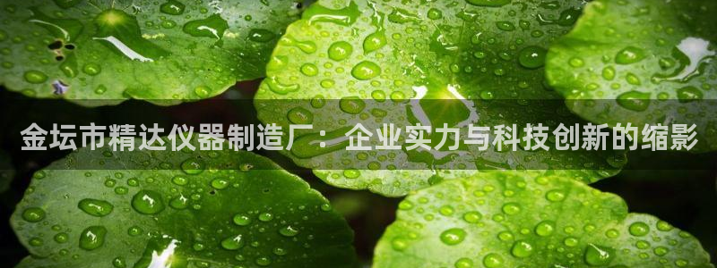 恒行娱乐郑74OOO5：金坛市精达仪器制造厂：企业实力与科技