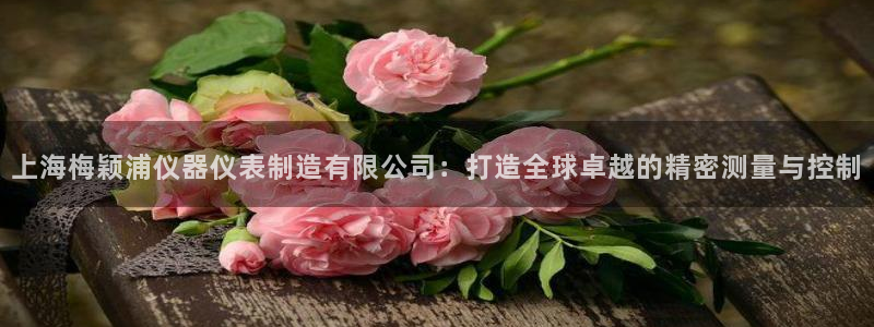 恒行娱乐蜗74ooo5指磁：上海梅颖浦仪器仪表制造有限公司：