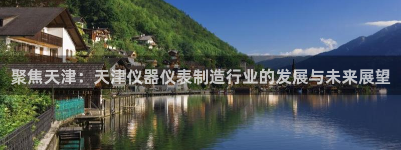 恒行5娱乐：聚焦天津：天津仪器仪表制造行业的发展与未来展望