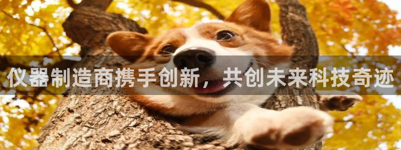 恒行彩票亏5千：仪器制造商携手创新，共创未来科技奇迹