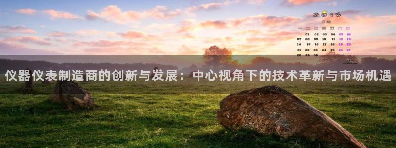 恒行2沈74OOO5：仪器仪表制造商的创新与发展：中心视角下