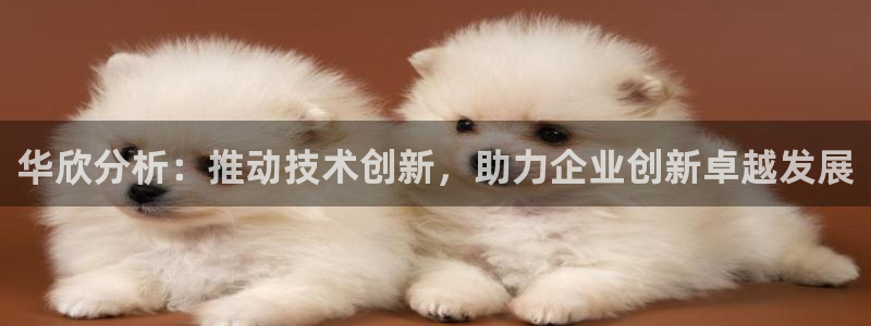 恒行注册招收6ll5l指定：华欣分析：推动技术创新，助力企业